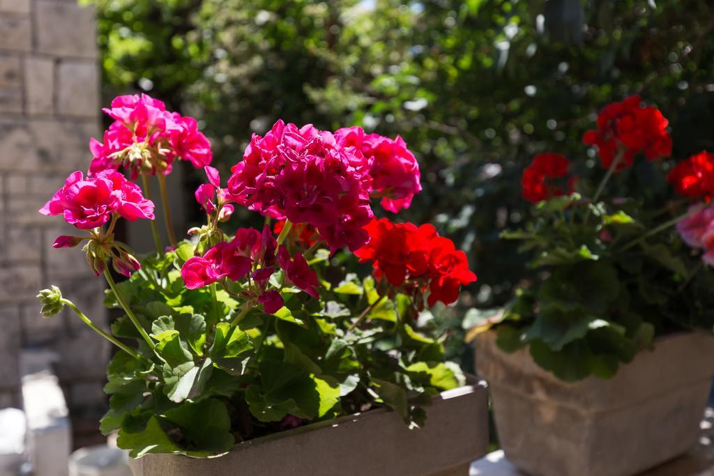 Apartman Best Roxy Dubrovnik